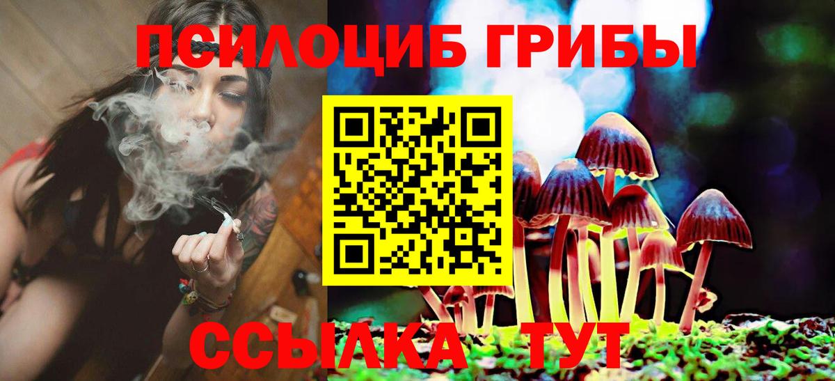 Хабаровск  Галлюциногенные грибы Cubensis  Вход с VPN 
